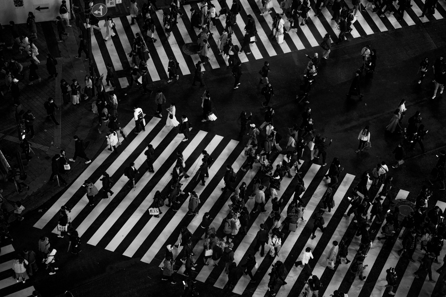 A solitary figure crossing into light — the moment between courage and calm.
